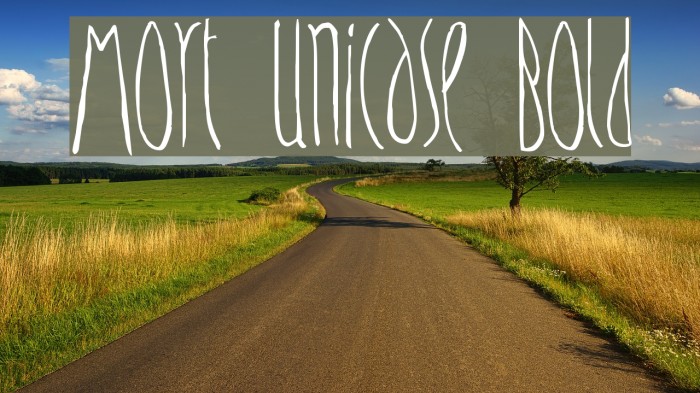 Mort Unicase Bold Font examples