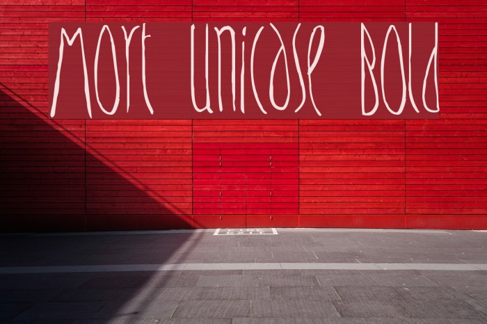 Mort Unicase Bold Font examples