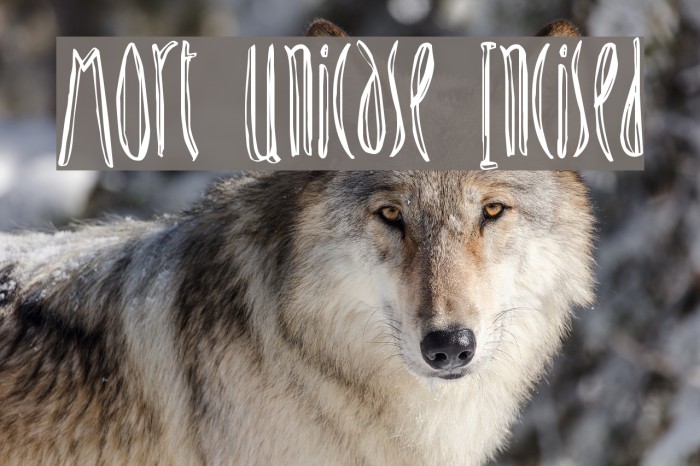 Mort Unicase Incised Example 1