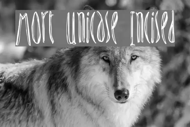 Mort Unicase Incised Font examples