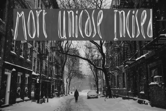 Mort Unicase Incised Font examples