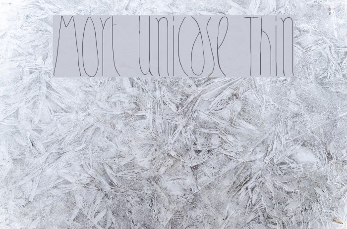 Mort Unicase Thin Example 1