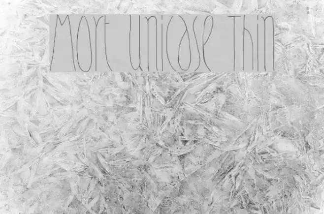 Mort Unicase Thin Font examples