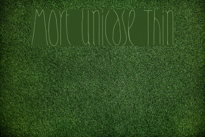 Mort Unicase Thin Example 2