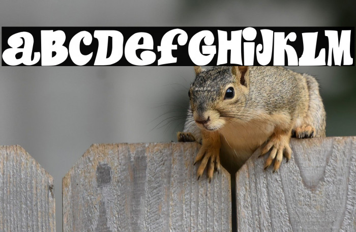 Mortadelo y Filemón Example 1