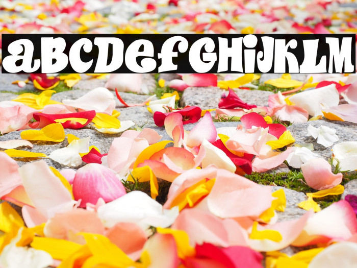 Mortadelo y Filemón Example 3