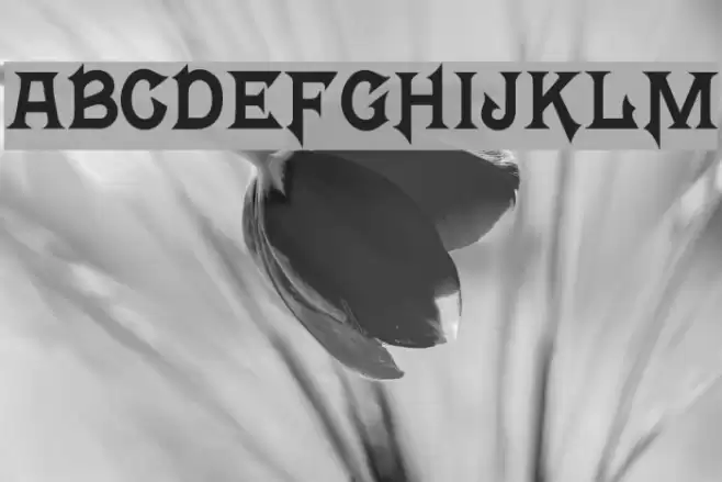 Mortal Kombat 4 Font examples