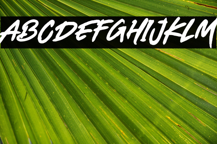 Mortal Wave Example 1