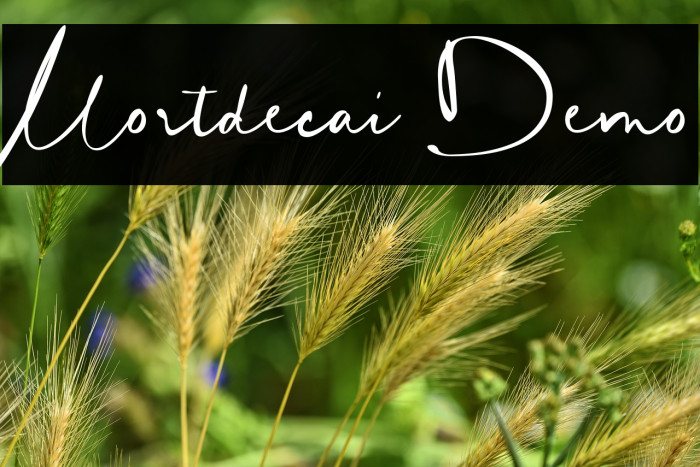 Mortdecai Demo Example 2