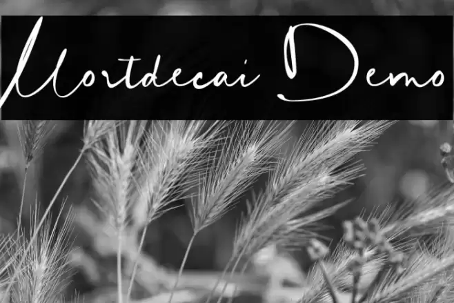 Mortdecai Demo Font examples
