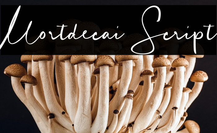 Mortdecai Script Example 3