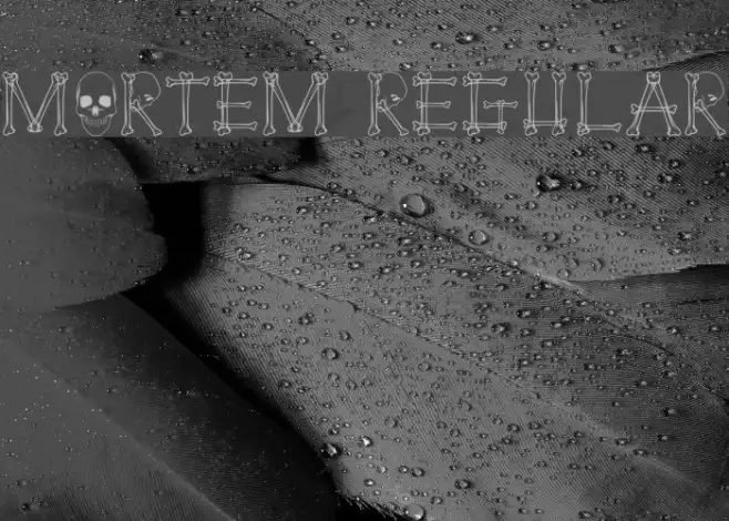 Mortem Regular Example 1