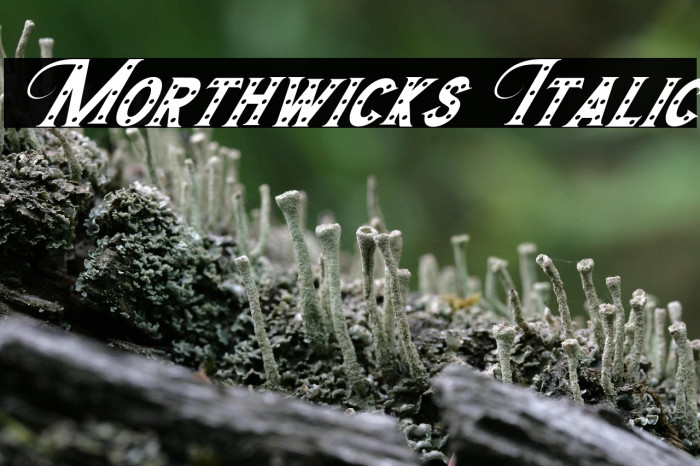 Morthwicks Italic Example 2