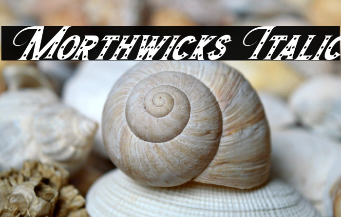 Morthwicks Italic Example 2