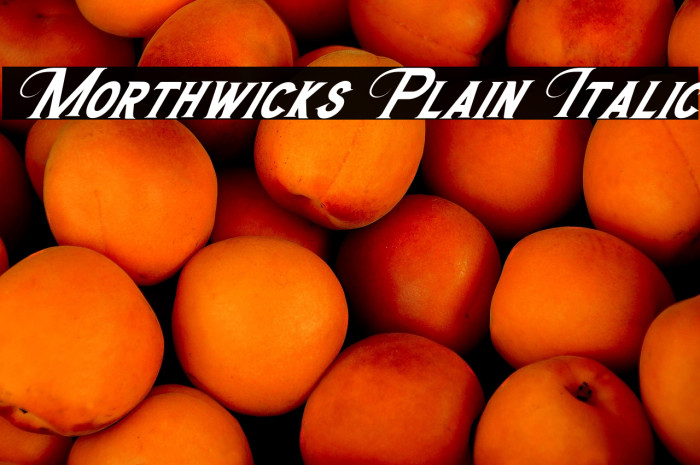 Morthwicks Plain Italic Example 1
