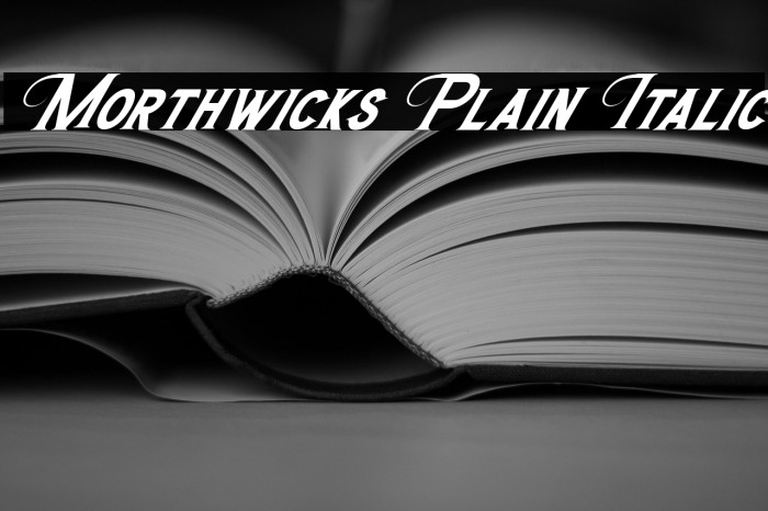 Morthwicks Plain Italic Example 1