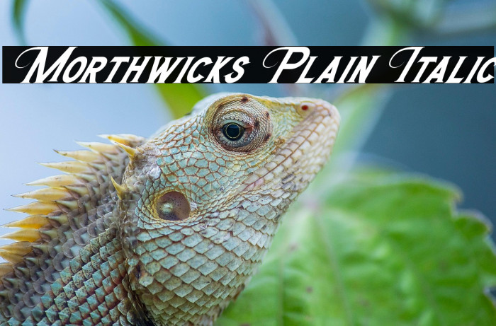 Morthwicks Plain Italic Example 2