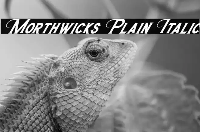 Morthwicks Plain Italic Font examples