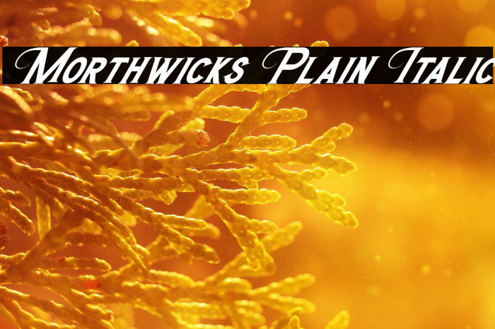 Morthwicks Plain Italic Example 3