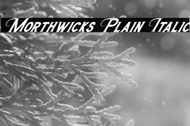 Morthwicks Plain Italic Font examples