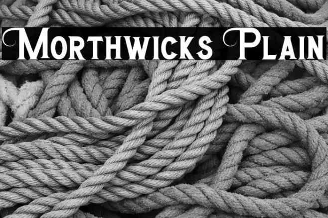 Morthwicks Plain Example 3