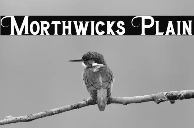 Morthwicks Plain Caratteri examples