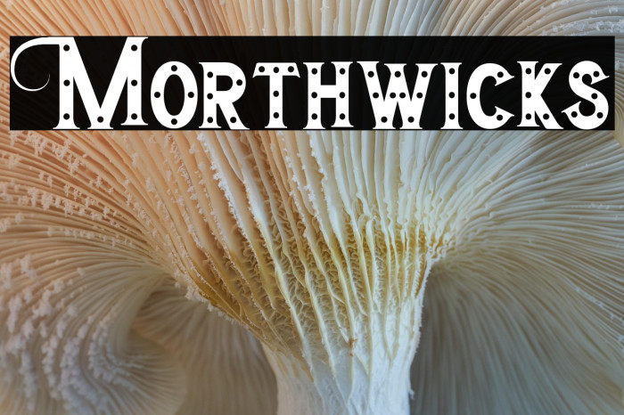 Morthwicks Example 3
