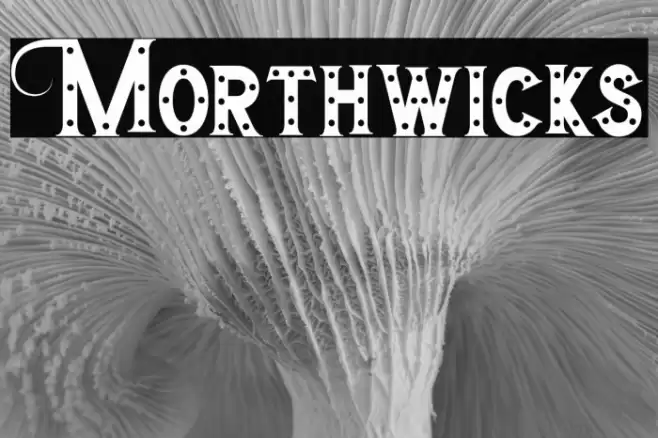 Morthwicks Font examples
