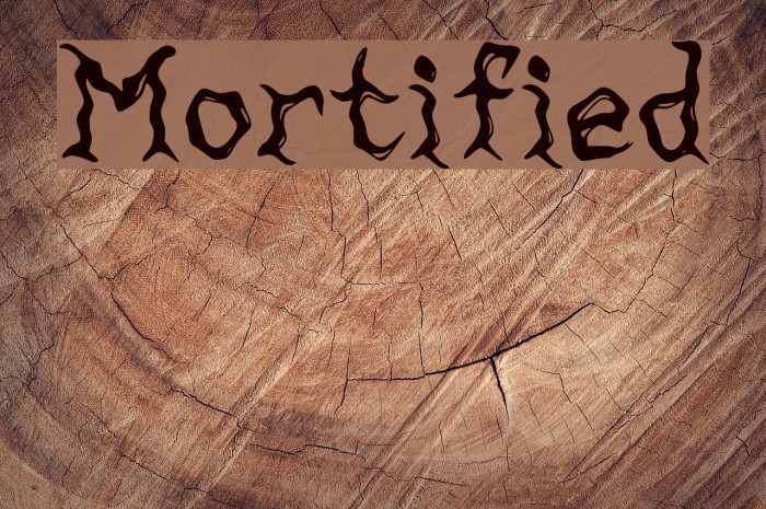 Mortified Font examples