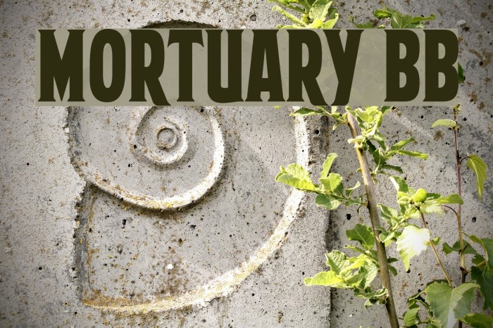 Mortuary BB Example 1