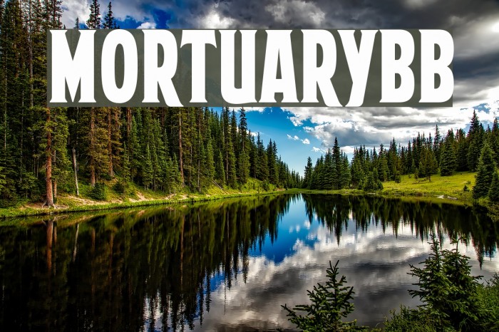 MortuaryBB Font examples