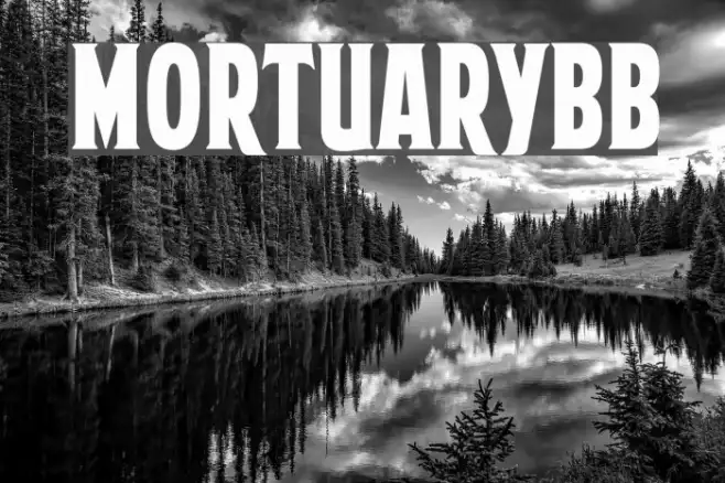 MortuaryBB Example 2