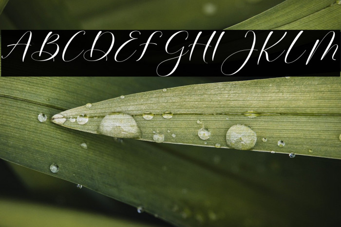 Mortyni-Regular Example 1