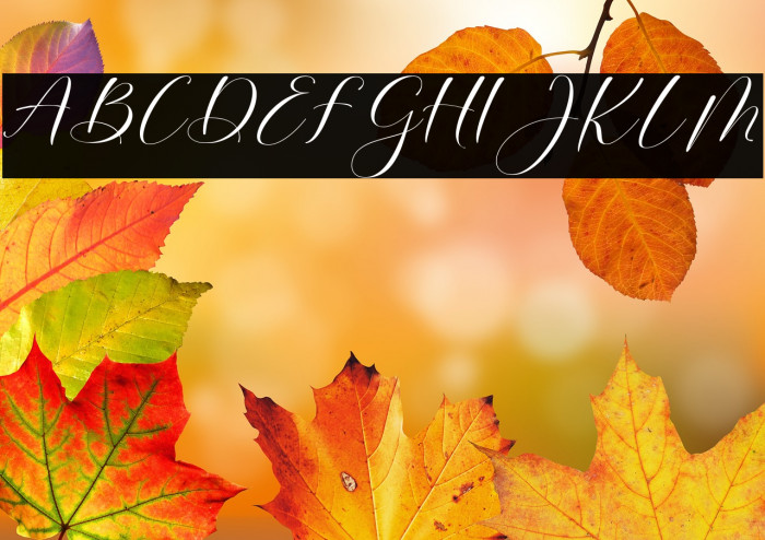 Mortyni-Regular Example 2