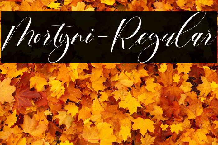 Mortyni-Regular Example 3