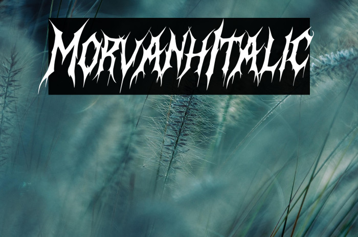 Morvanh Italic Example 1