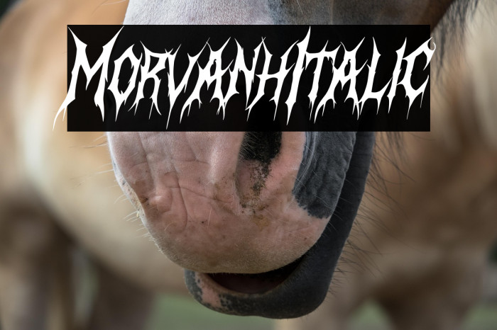 Morvanh Italic Example 3