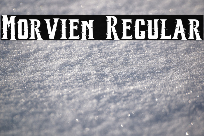 Morvien Regular Example 1