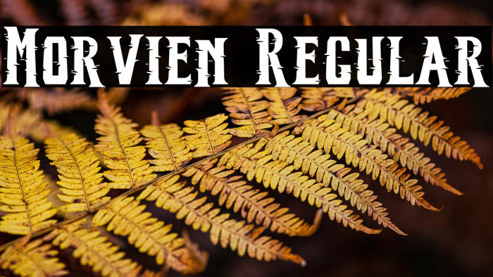 Morvien Regular Example 2