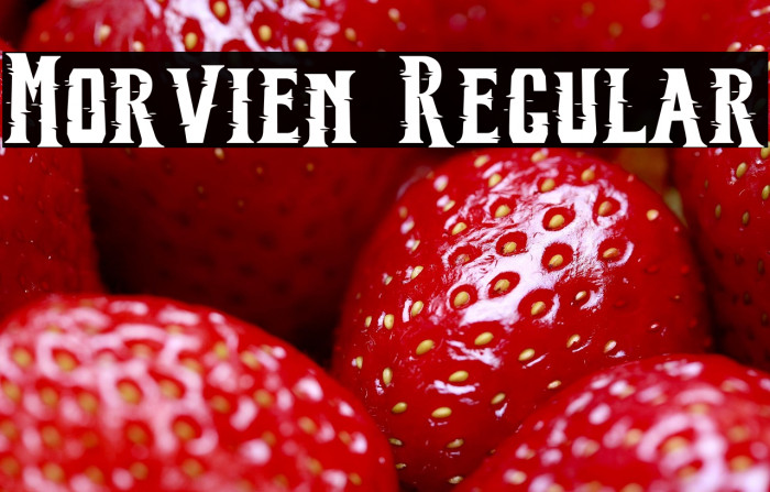 Morvien Regular Example 3