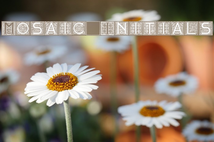 Mosaic_Initials Font examples