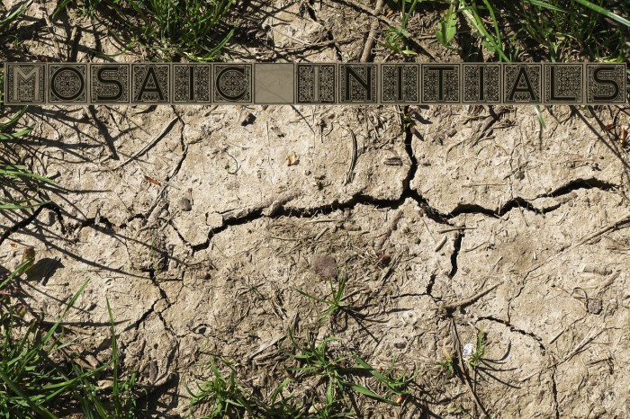 Mosaic_Initials Font examples