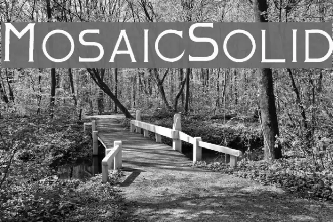 Mosaic_Solid Font examples