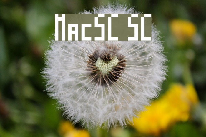 MosaicoSC SC फ़ॉन्ट examples