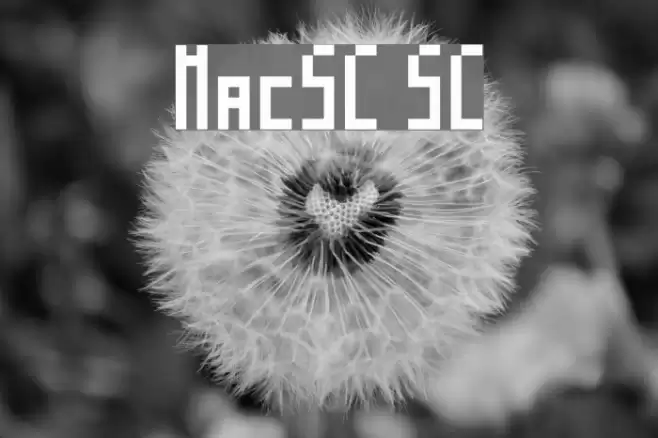 MosaicoSC SC फ़ॉन्ट examples