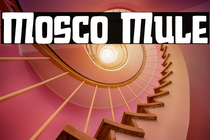 Mosco Mule Example 1