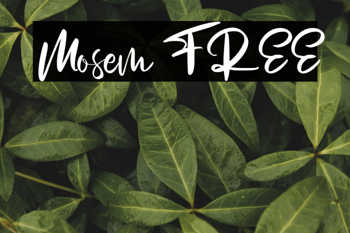 Mosem FREE Example 2