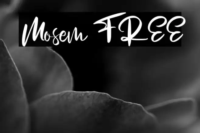 Mosem FREE Example 3