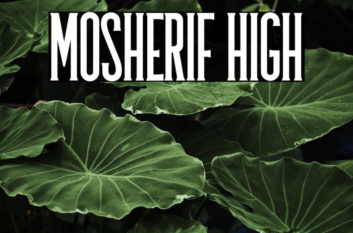 Mosherif High Example 3