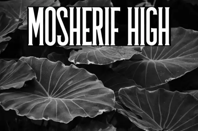 Mosherif High Example 3